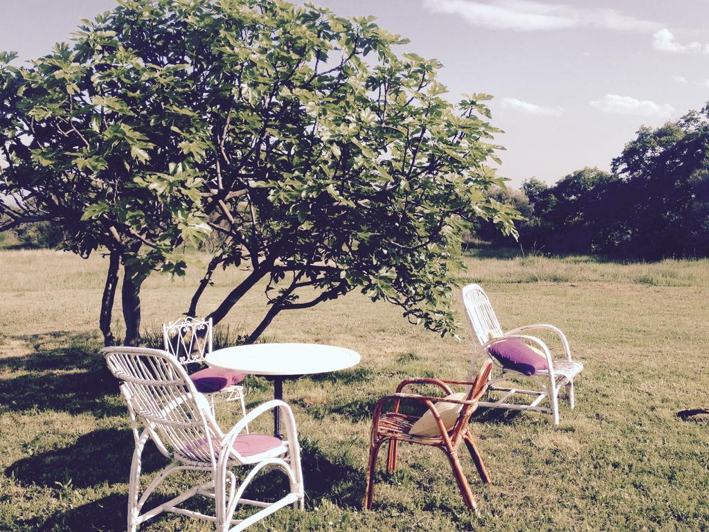 B&B Mas Coquells Habitacion Genover Vilanant Exterior photo
